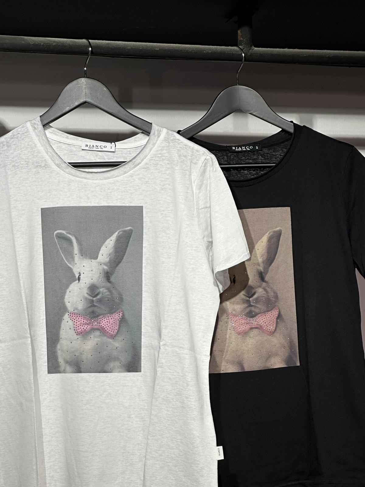 WhatsApp Image 2024-07-30 at 12.02.52